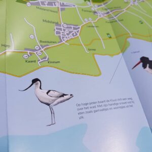 Illustraties voor fietskaart Terschelling